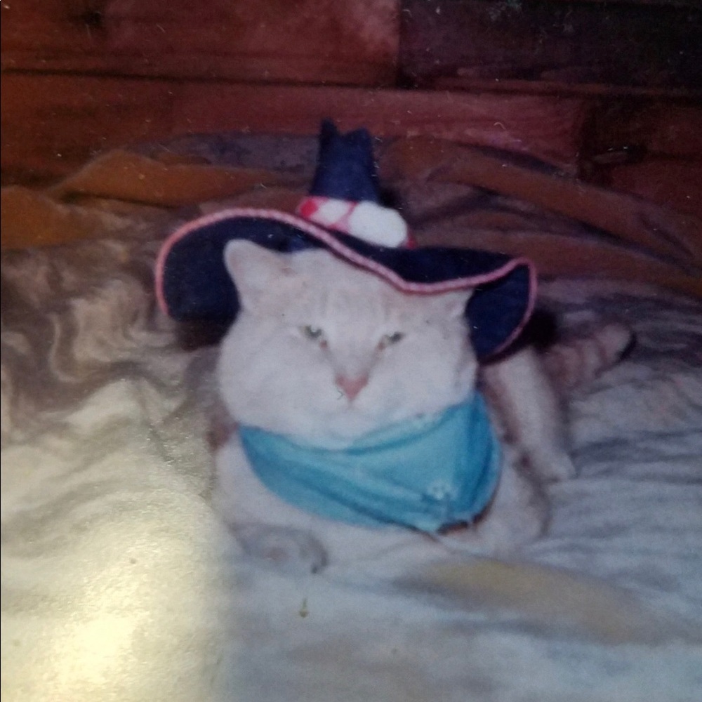 Meet your Posher, Bethany